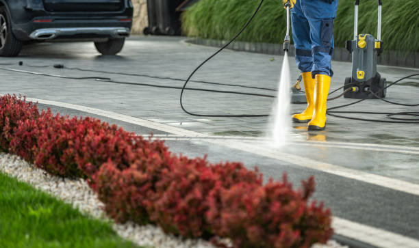 Best Sidewalk and Walkway Cleaning  in Lauderdale, MN